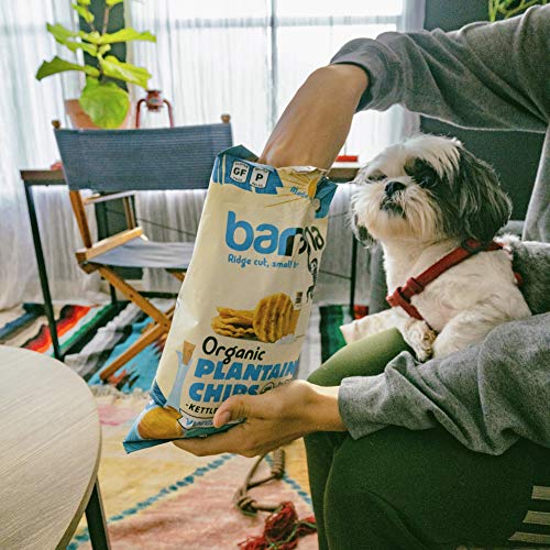 Barnana Organic Plantain Chips, Salt & Vinegar Paleo & Vegan Rid...