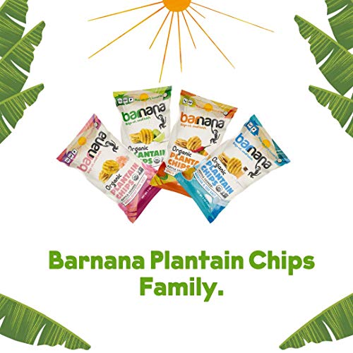 Barnana Organic Plantain Chips, Salt & Vinegar Paleo & Vegan Rid...
