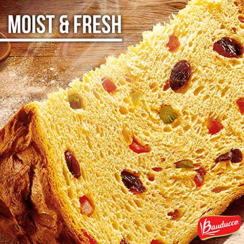 Panettone Specialty Cake Bauducco - 17.50 Oz - Panettone Tradici