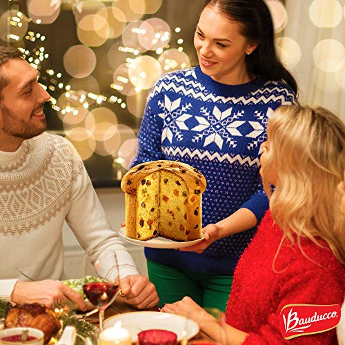 Panettone Specialty Cake Bauducco - 17.50 Oz - Panettone Tradici