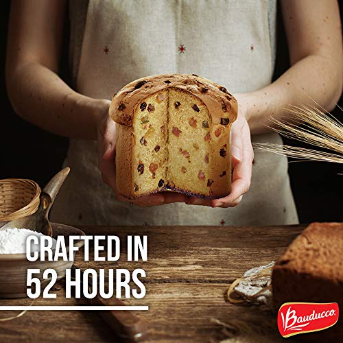 Panettone Specialty Cake Bauducco - 17.50 Oz - Panettone Tradici