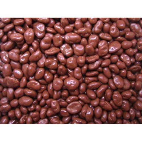 Sugar Free Chocolate Raisins, 1LB