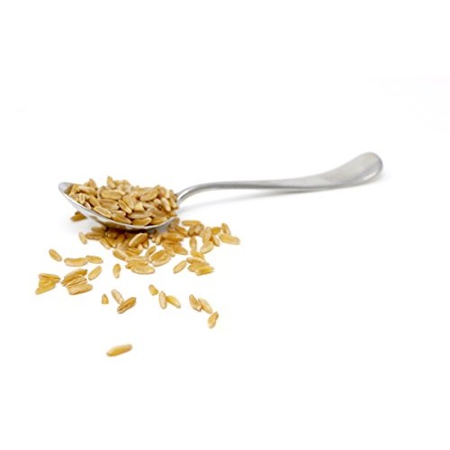 Be Still Farms Organic Kamut️ Khorasan Wheat Berries 5Lb Organ