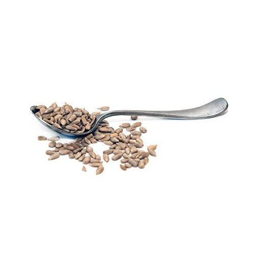 Be Still Farms Organic Raw Sunflower Seeds 5Lb Raw Sunflower S