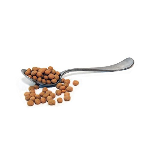 Be Still Farms Organic Soybeans 5Lb Raw Soy Beans Are Organic
