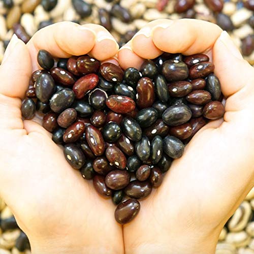 Beanitos Hint Of Lime Bean Chips With Sea Salt Plant Based Prote