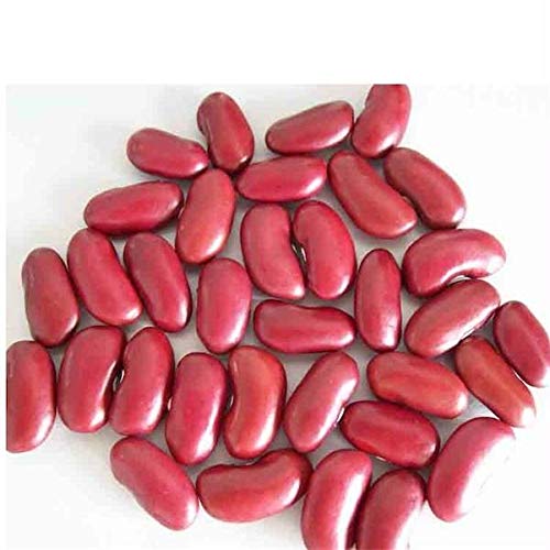 Bulk Organic Red Kidney Bean, 1 Lb