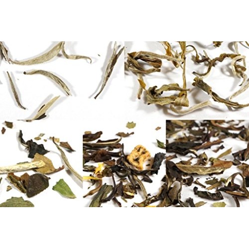 Beantown Tea &Amp; Spices - 15 Gourmet Samplers &Amp; 100 Filters Pack.