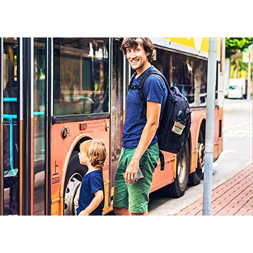 Bearded Brothers Vegan Organic Energy Bar | Gluten Free, Paleo a...