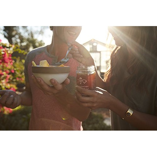 Bee Harmony American Raw Wildflower Honey, 12 Oz