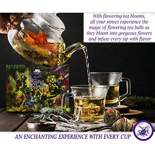 Fairy Garden Blooming Tea Flowers - Variety Pack Includes 4 Diff