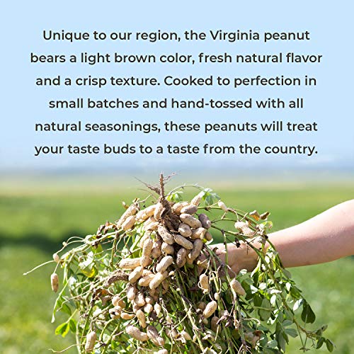 Belmont Peanuts Artisan Sea Salt Virginia Peanuts, 20Oz