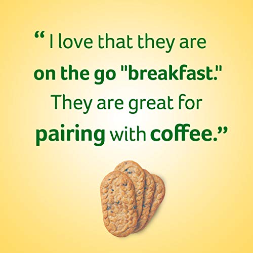 Mondelez Global Nabisco Belvita Breakfast Blueberry, 1.76 Ounce