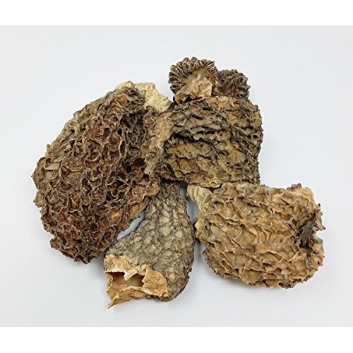 Dried Morel Mushrooms