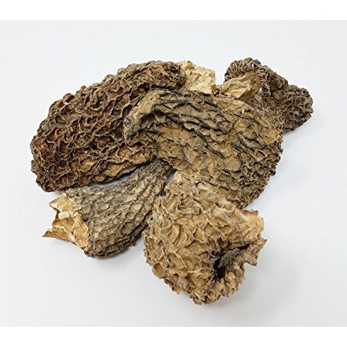 Dried Morel Mushrooms