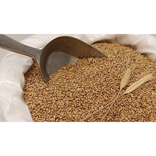 Organic Einkorn Wheat Berries - 25Lbs Organic Einkorn Wheat Berries - 25Lbs