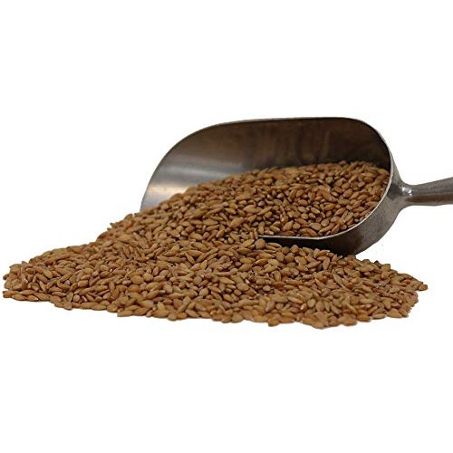 Organic Einkorn Wheat Berries - 25Lbs Organic Einkorn Wheat Berries - 25Lbs