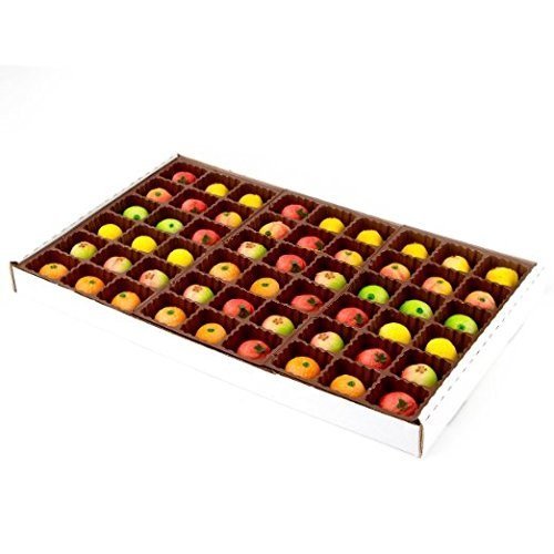 Bergen Marzipan 54 Piece Assorted Fruit Box Tray Net Weight 25 Oz