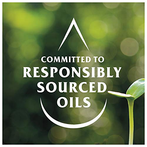 Best Foods Mayonnaise Squeeze Light Mayo 20 Oz