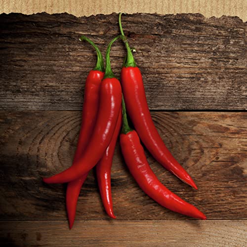 Best Foods Spicy Mayonnaise For a Rich, Creamy Condiment Spicy M...