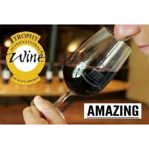 Cabernet Sauvignon Style Amazing Wine Kit -Makes 6.U.S.Gal