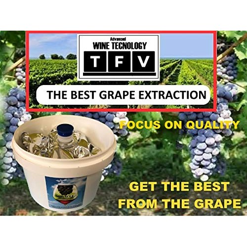 Pinot Grigio White Style Grape Extraction. Makes 6 U.S Gal