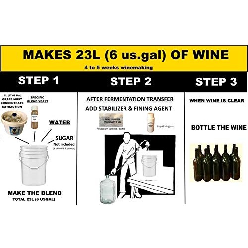 Pinot Grigio White Style Grape Extraction. Makes 6 U.S Gal