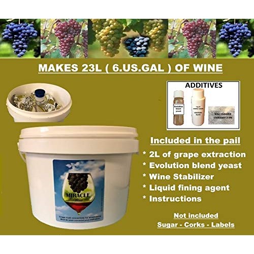 Pinot Grigio White Style Grape Extraction. Makes 6 U.S Gal