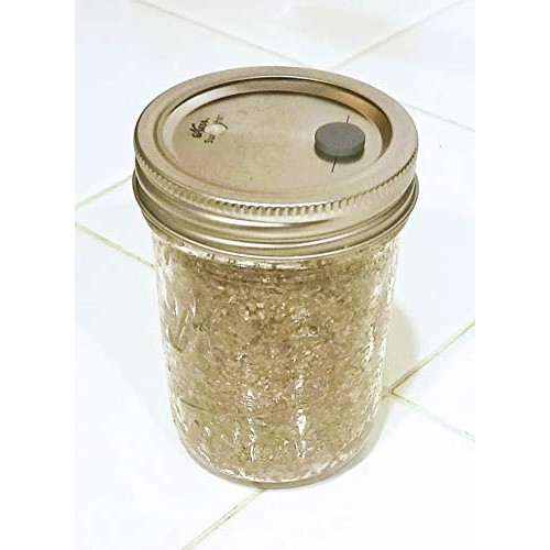 Brf Pf Tek Brown Rice Flour Mushroom Substrate - Half Pint Jar