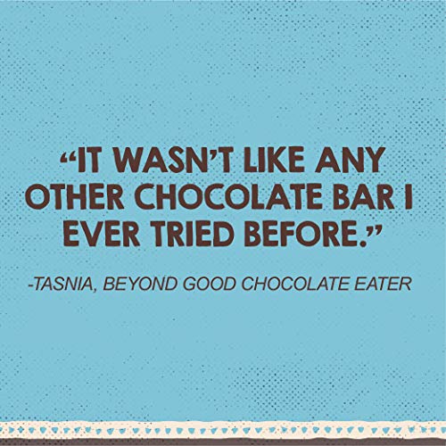 Beyond Good Chocolate Bars | 10 Pack Sea Salt &Amp; Nibs Dark Chocol