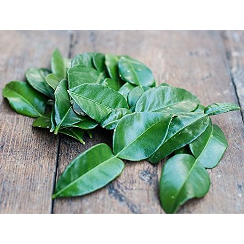 2 Oz. Fresh Organic Kaffir Lime Leaves Thai Lime Leaves | Fr