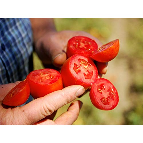 Bianco Dinapoli, Crushed Tomatoes Organic, 28 Ounce