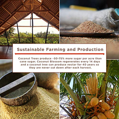 Big Tree Farms Organic Brown Coconut Sugar, Vegan, Gluten Free, ...