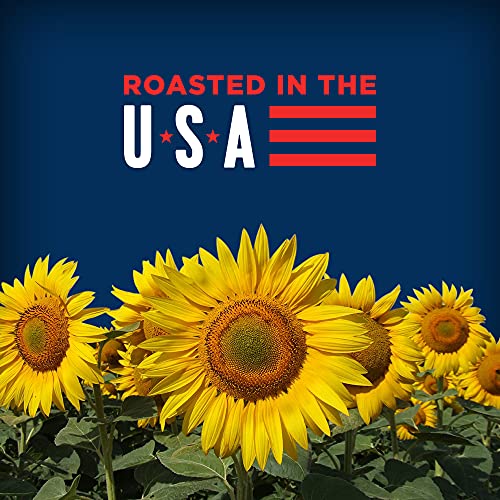 BIGS Salted & Roasted Original Sunflower Seeds, Keto Friendly Sn...