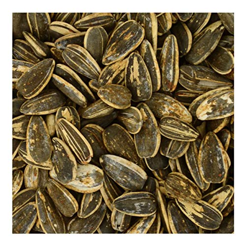 Bigs Taco Bell Taco Supreme Sunflower Seeds 3.63 Oz - Pack Of 3