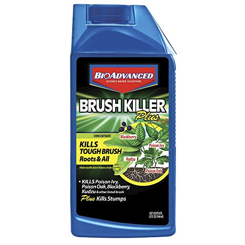Bioadvanced 704640B 704640 Brush Killer, 32-Ounce, Concentrate