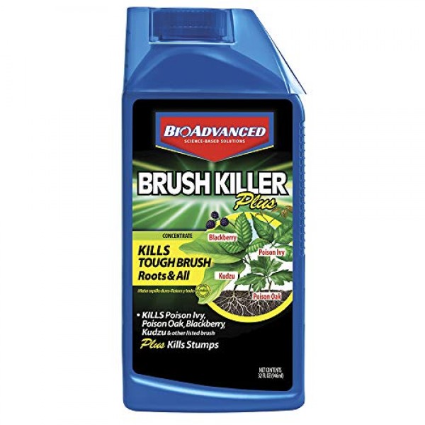 Bioadvanced 704640B 704640 Brush Killer, 32-Ounce, Concentrate