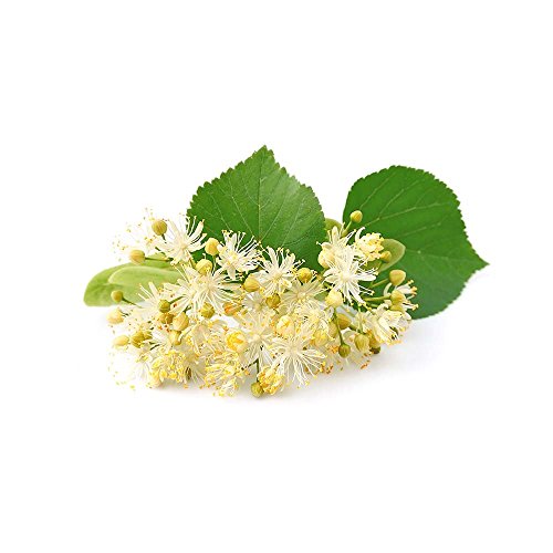 100% Pure And Organic Biokoma Linden Dried Leaves And Flowers He