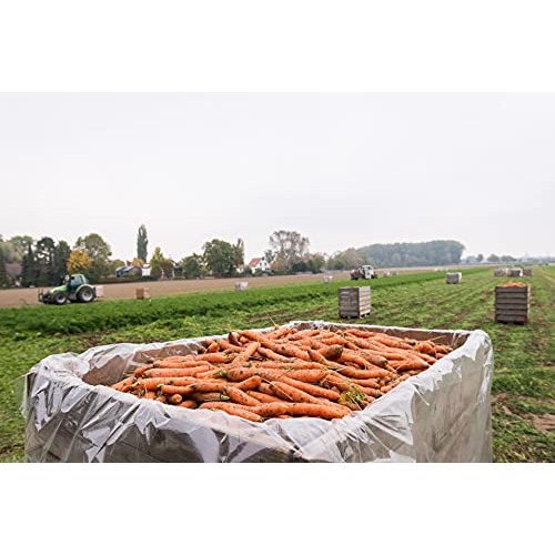 Biotta Biodynamic Carrot Orange Ginger Juice - Demeter Certified