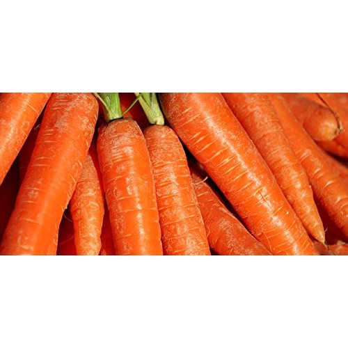 Biotta Organic Carrot Juice, 6 Bottles