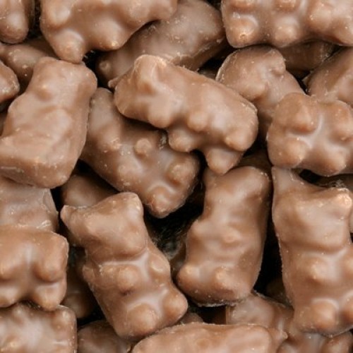 Milk Chocolate Covered Flavored Gummi Bears 1Lb