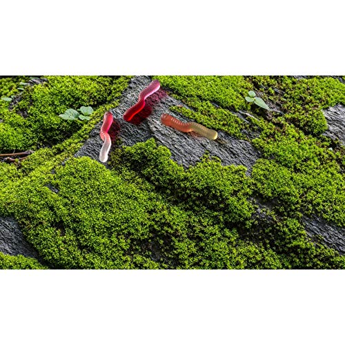 Black Forest, Assorted Gummy Worms, 8 Oz