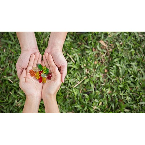 Black Forest Gummy Bears Candy, 6 Lb