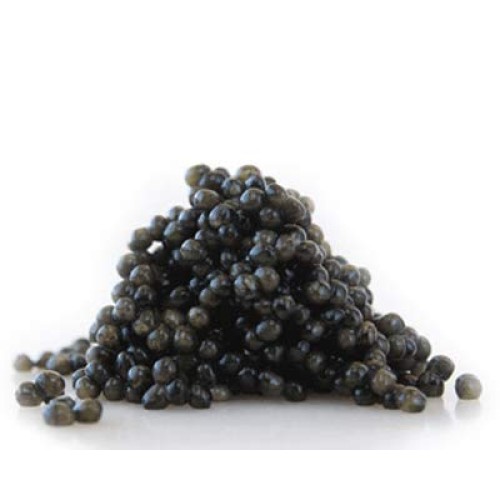 Ossetra Sturgeon Caviar 100G 3.5 Oz