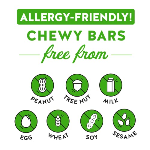 Blake’s Seed Based Chewy Granola Bars — Apple Cinnamon 24 Count...