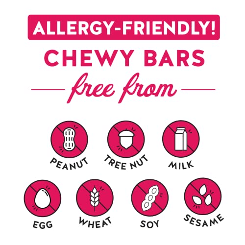 Blake’s Seed Based Chewy Granola Bars — Birthday Cake 24 Count...