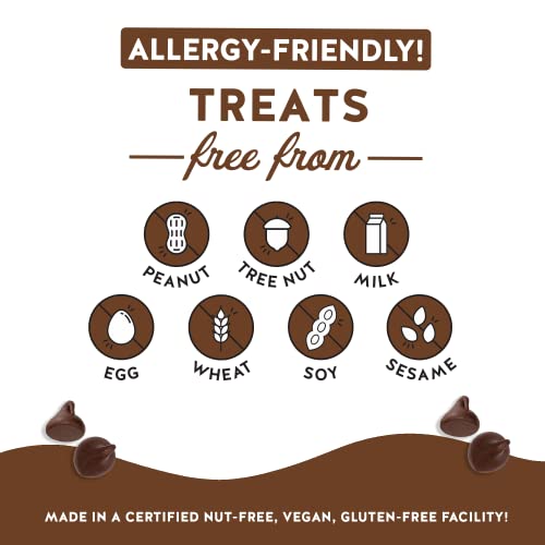 Blake’s Seed Based Crispy Treats – Chocolate Chip 24 Count, Nu...