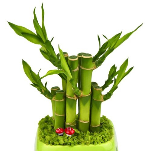 Yueton Pack Of 100 Mini Foam Mushroom For Garden Ornament Flower