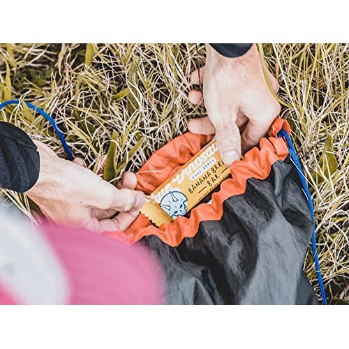 Blue Dinosaur Snack Bar - Banana Bread Flavor, Paleo, Plant Base...