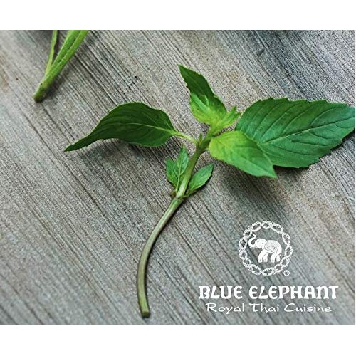 Sweet Basil Thai Herbs &Amp; Spices Royal Thai Cusine 6G